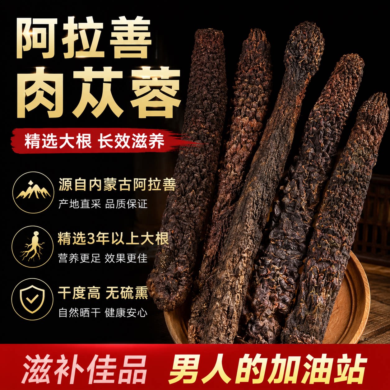 正宗阿拉善特级野生肉苁蓉泡酒