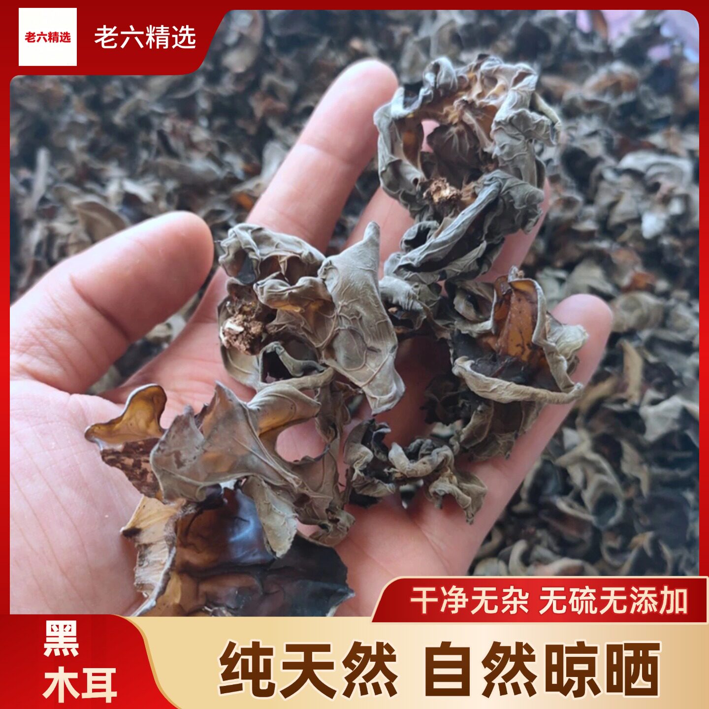 东北野生黑木耳干货椴木秋木耳天然软糯500g包邮凉拌黑龙江山特产