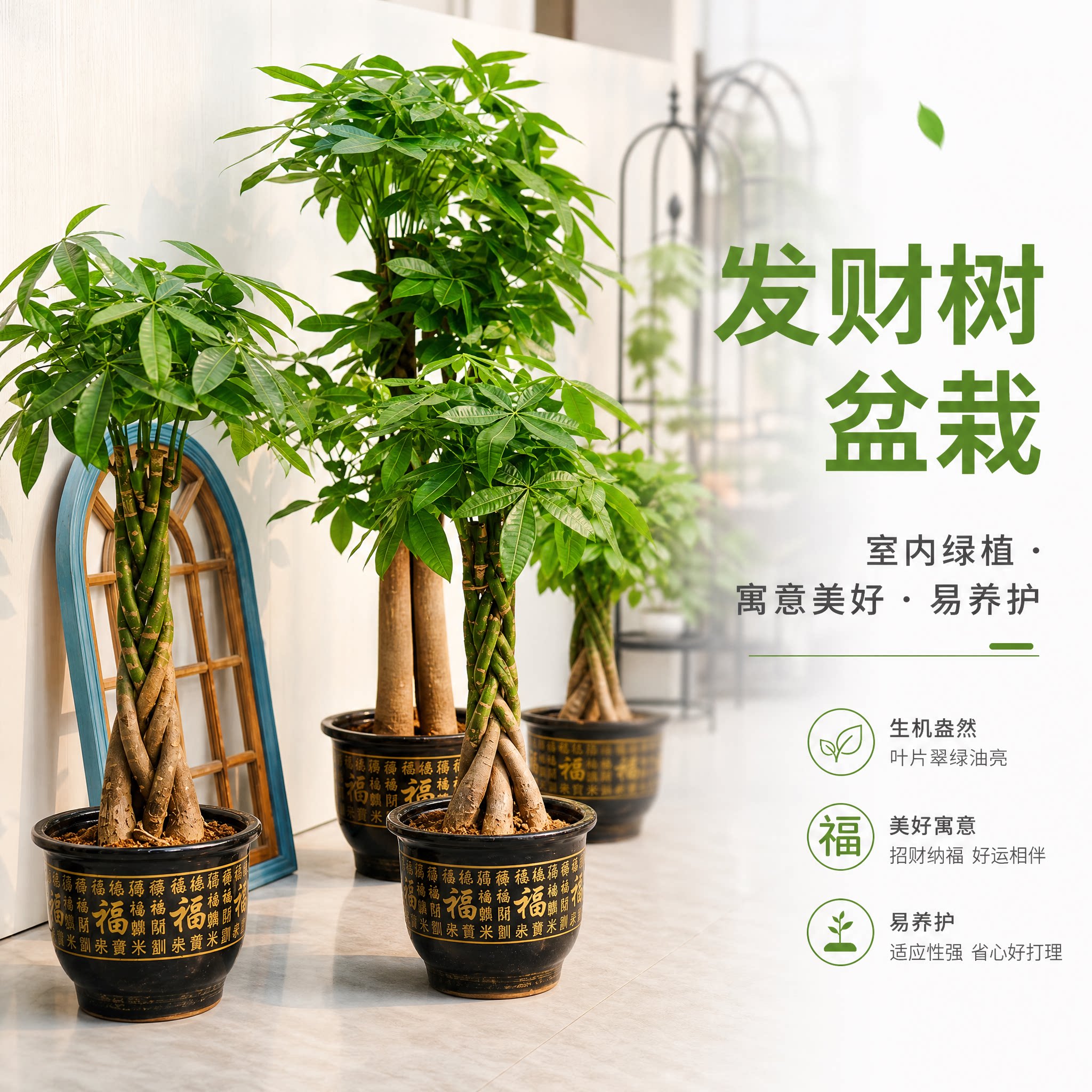 发财树盆栽室内客厅大型落地绿植办公室招财植物四季好养开业送礼图片