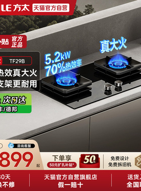 方太TF29B/02-TH29B燃气灶煤气双灶台嵌入家用天然气官方旗舰01