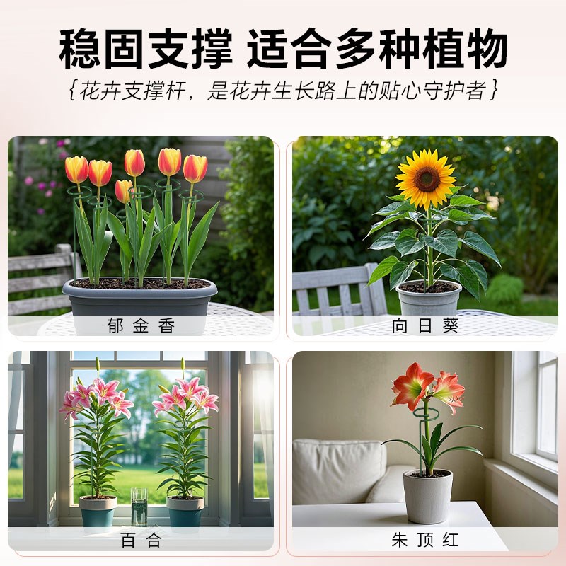 蝴蝶兰铁艺花架绣球吊兰支撑杆园艺固定架爬藤花卉植物防倒伏支架