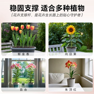 蝴蝶兰铁艺花架绣球吊兰支撑杆园艺固定架爬藤花卉植物防倒伏支架