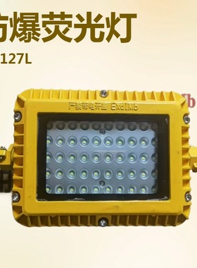 DGS48/127L矿用隔爆型LED巷道灯 山东厂家48W/127V方形防爆照明灯