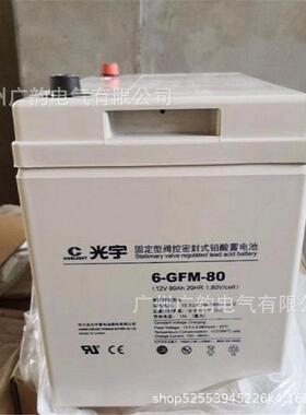 6-GFM-80哈尔滨光宇铅酸蓄电池12v65ah光宇蓄电池12vGFM系列报价