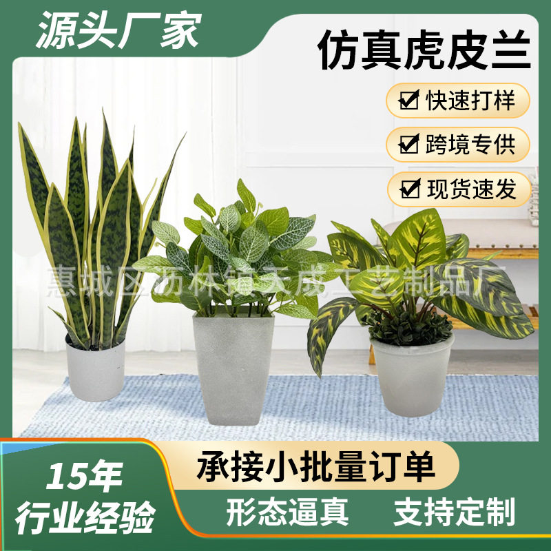 跨境仿真虎皮兰假绿植盆景花艺摆件办公室桌面迷你仿真植物盆景