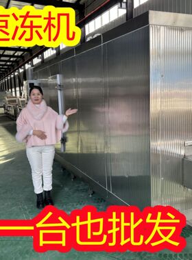 旺源批发隧道式速冻机草莓丁冷冻线红薯丁冷冻加工生产设备