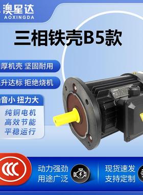 三相铁壳异步电动机0.55KW-55KW400V415V440V50HZ60HZ多电压