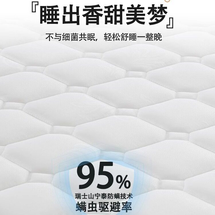 酒店床垫护脊椰棕床垫硬垫出租房环保3E棕垫民宿榻榻米薄床垫批发