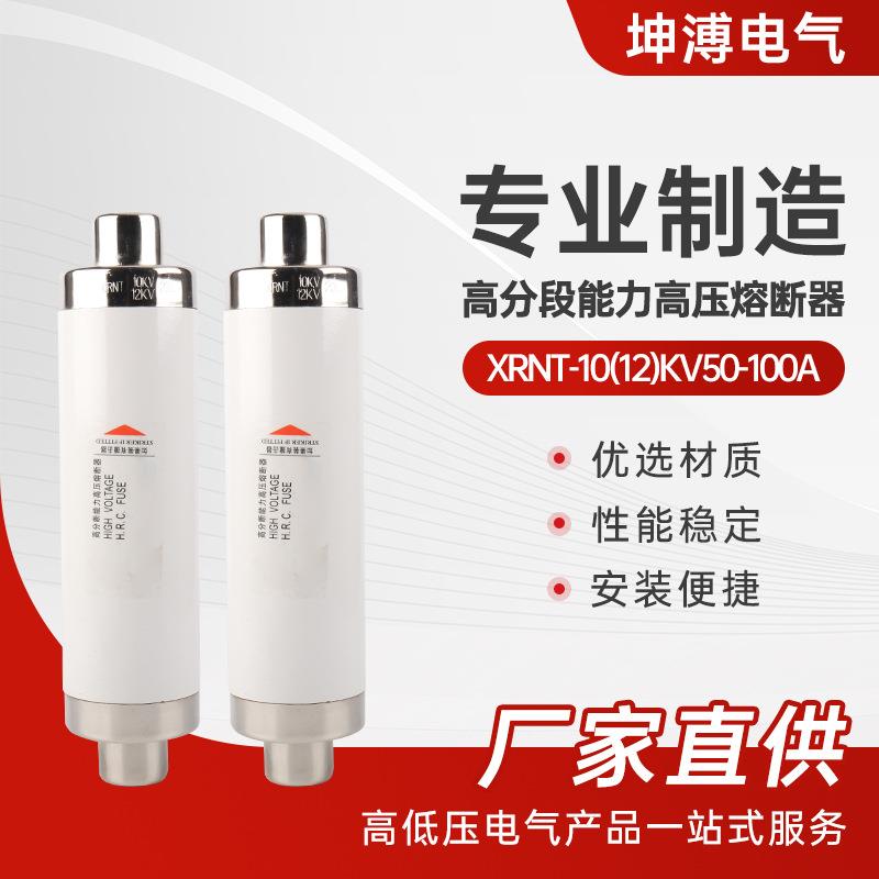 XRNT-10(12)KV50-100A高压限流熔断器箱变保险管丝户内高分断