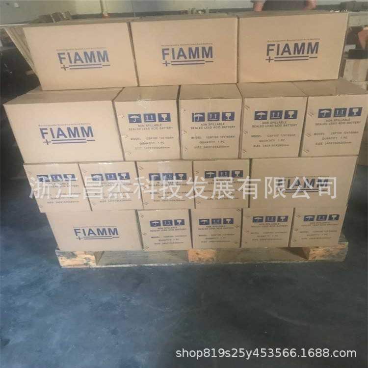 FIAMM非凡蓄电池12V100AH 12SP100 UPS EPS 直流屏用 铅酸免维护