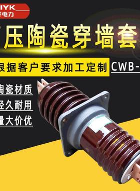 户外高压穿墙套管CWB-10铜排绝缘瓷套管直销10kV陶瓷穿墙套管