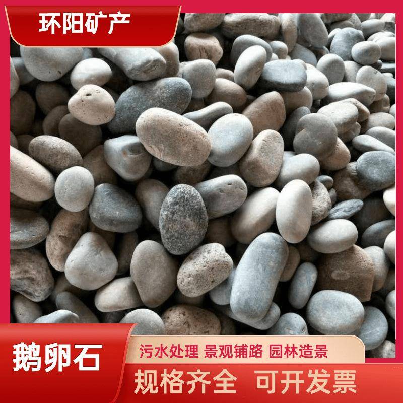 鹅卵石建筑工程铺路园林绿化造景河卵石变压器