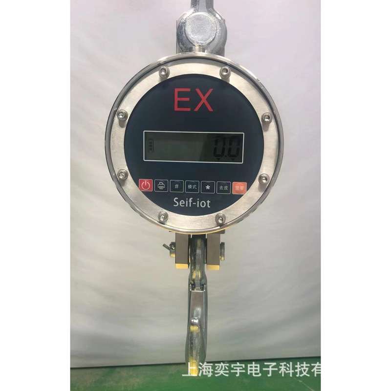 直视式电子吊钩秤本安型防爆吊秤3T/0.5kg5T10吨吊称吊磅电子秤