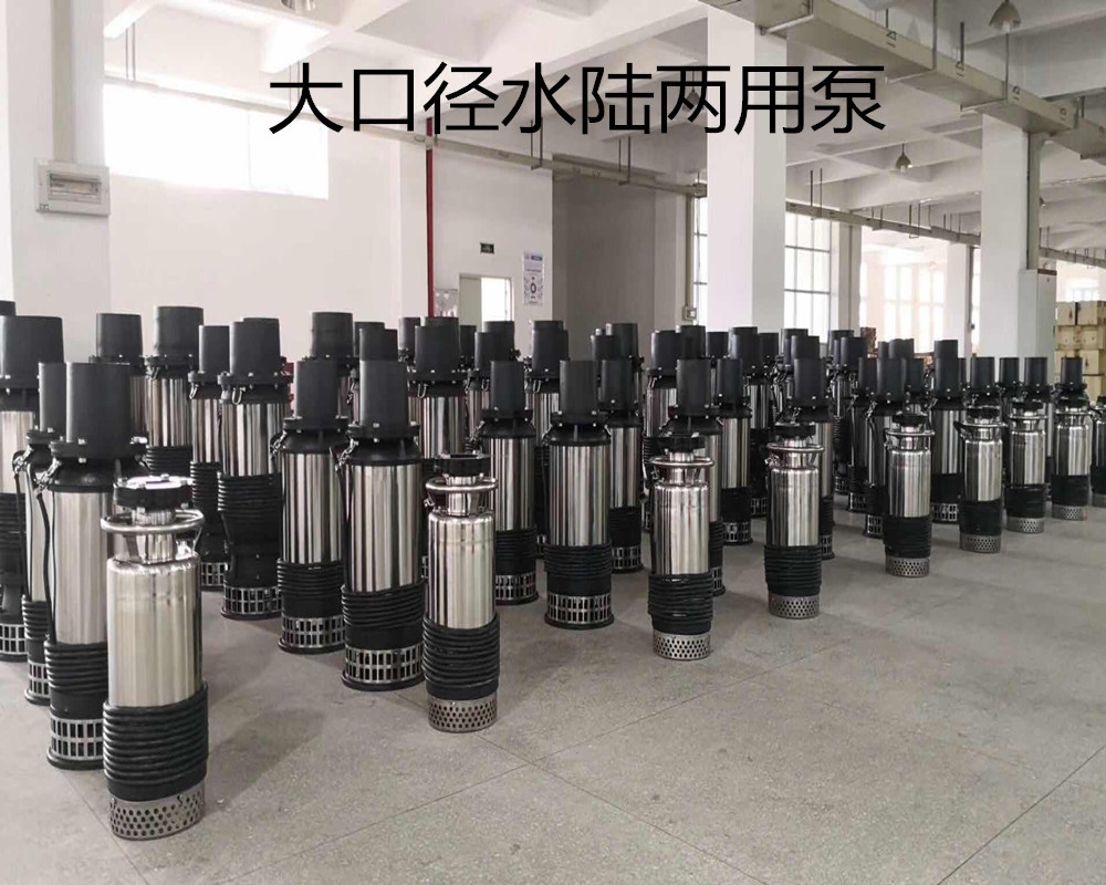 不锈钢水陆两用泵大口径大流量潜水泵景观园林喷泉海水养殖专用泵