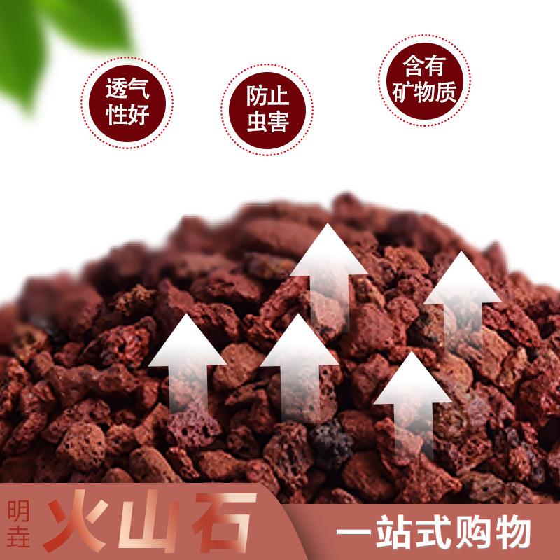 火山石多孔质轻活水红色颗粒稳定水质吸附浮石规格多样