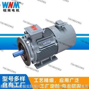 皖南电机系列 0.75-355 6极 变频调速电机三相异步电动机