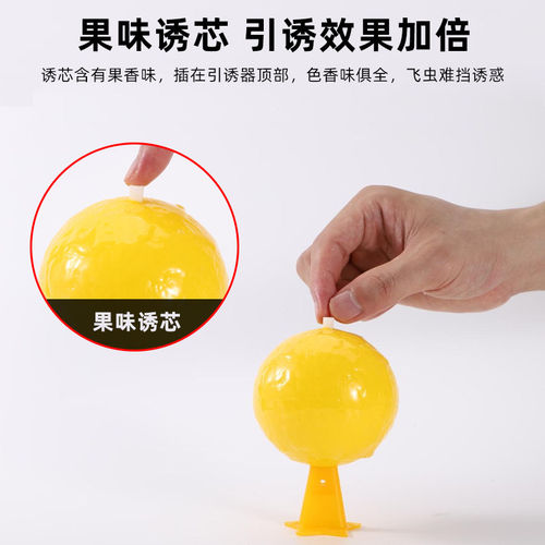 果味诱芯黄色球形粘蝇纸室内外