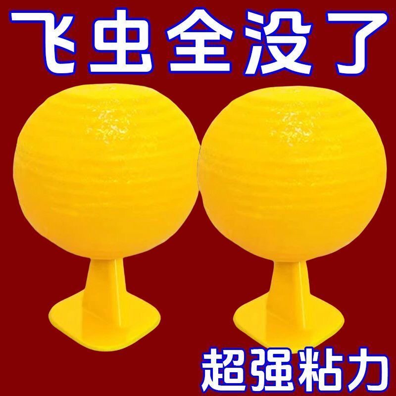守果果室内果蝇小飞虫灭蝇神器安全环保持久粘性苍蝇防蚊虫