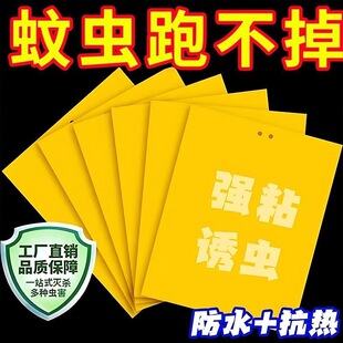 柑橘瓜果实蝇针蜂黄板双面粘虫板果园大棚胶粘板蓟马篮板引诱虫板