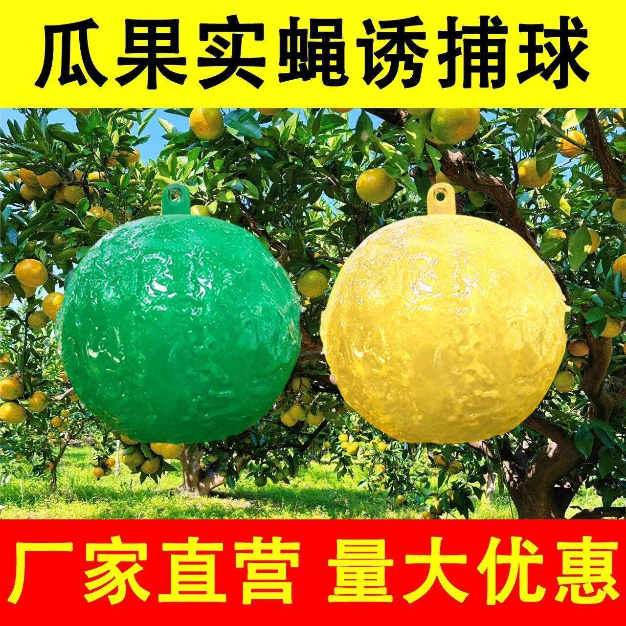 强力诱蝇球果园防虫实蝇果蝇