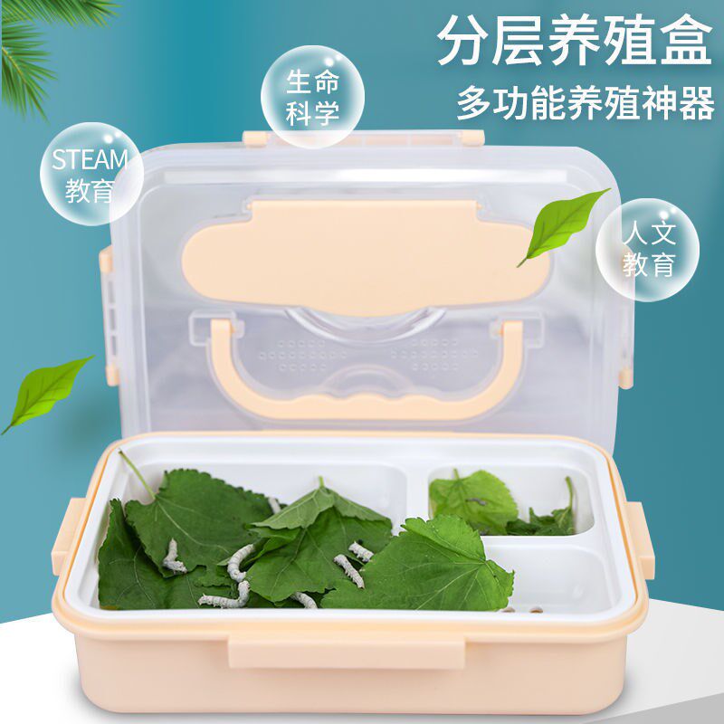 学生养蚕套装蚕宝宝观察日记饲养盒桑叶分层养殖卵籽彩色茧蚕别墅