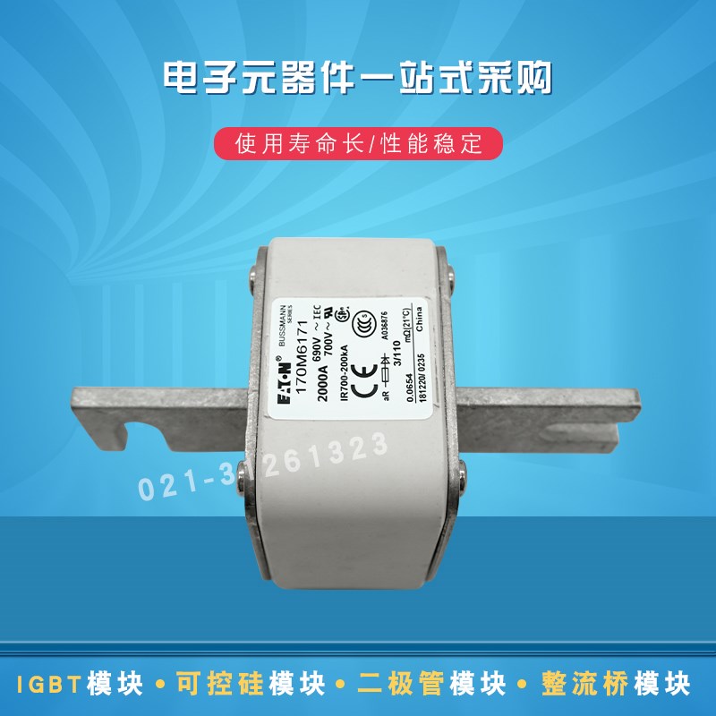 巴斯曼熔断器170M6169 6170 6171 6188 6189 6190 6191 6192 6193