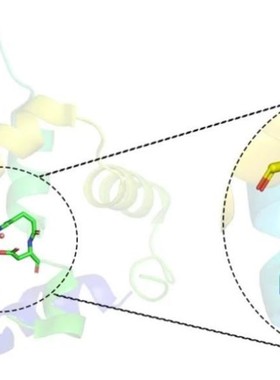 分子动力学模拟DFT MS poster studio带教程文件出图