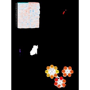 GEO数据挖掘 R语言代码 蛋白组学 转录组学 TCGA数据 脚本整理总结