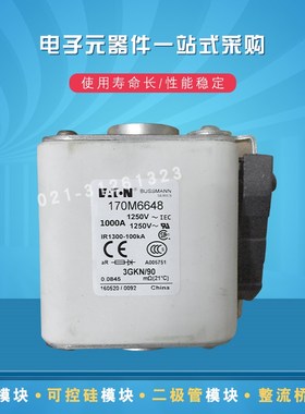 巴斯曼快速熔断器170M6645 6644 6645 6646 6647 6648 6649 6650