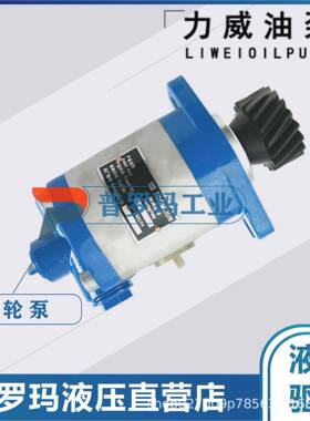 QC16/10-D10WX合肥力威3505010-541-ZC10客汽车动力泵液压转向泵