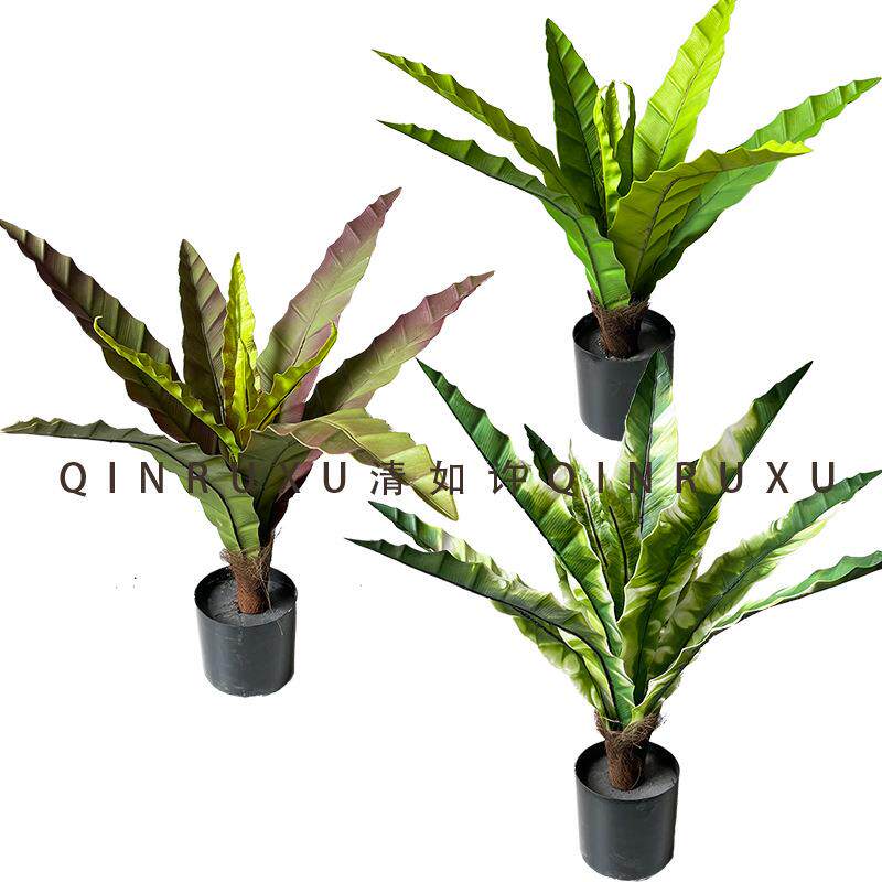 仿真蕨叶鸟巢蕨植物盆栽锯齿蕨绿植家居室外落地盆景装饰孔雀竹