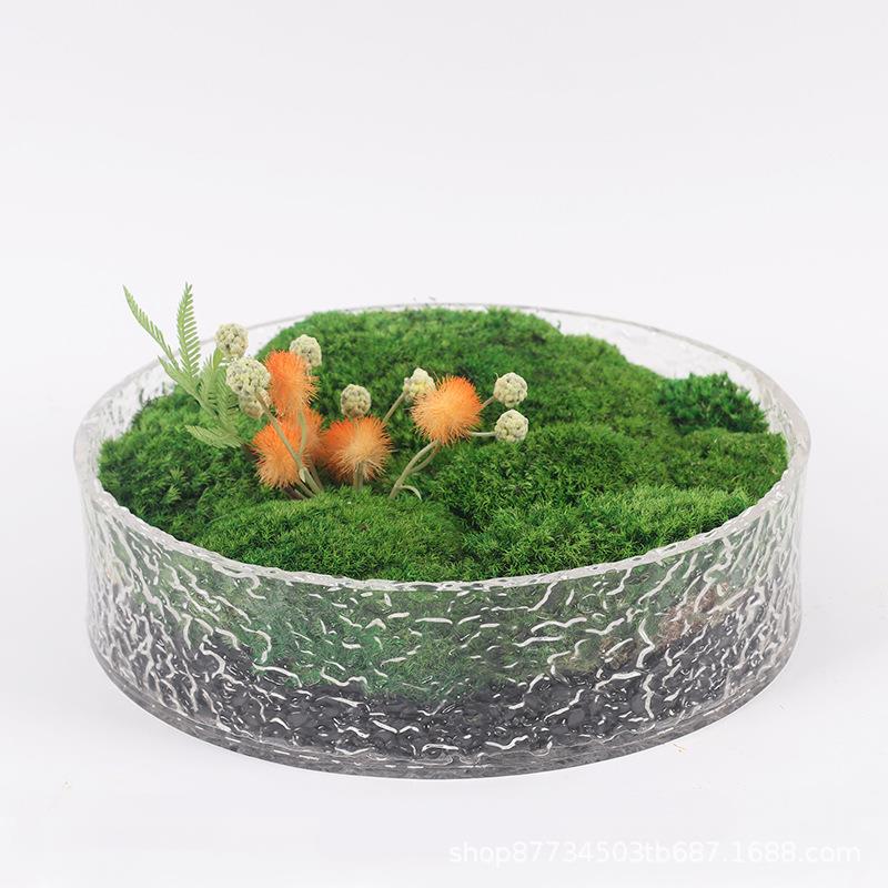 亚克力仿真绿植盆景摆件样板房茶室洽谈餐桌花艺植物微景观装饰品