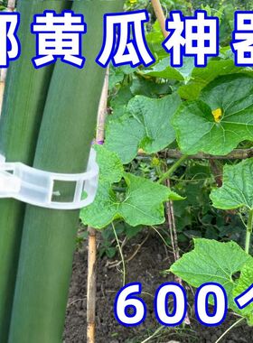 黄瓜西红柿豆角爬藤枝条固定器绿植蔬菜捆绑扎带藤蔓爬墙固定器