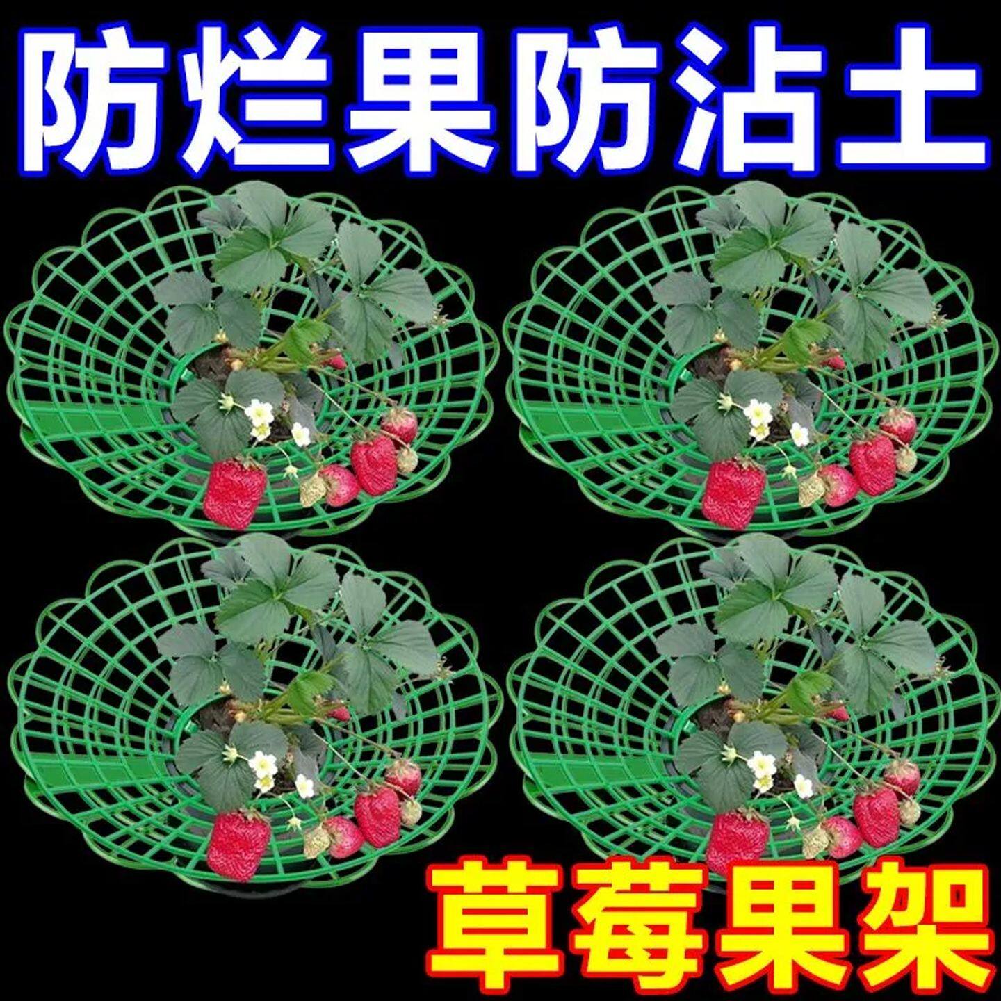 草莓支架草莓种植立体架托盘果实支撑架田园果实防烂绿植支撑架