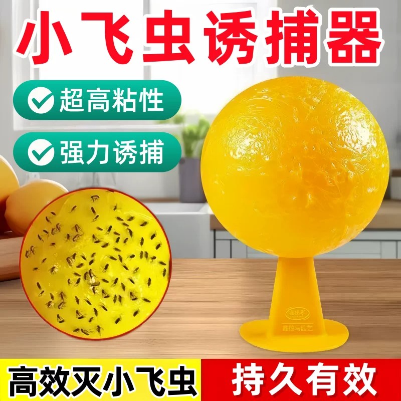 果蝇小飞虫诱捕粘虫球厨房室内