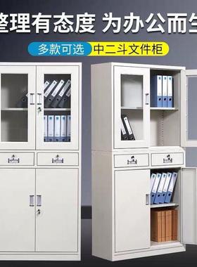 铁皮柜储物柜家用档案柜文件柜钢制资料柜财务凭证办公室矮柜书柜