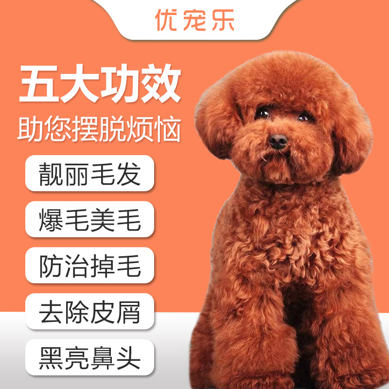 虾红素狗狗美毛粉泰迪增色比熊博美贵宾专用卵磷脂狗美毛亮毛爆毛