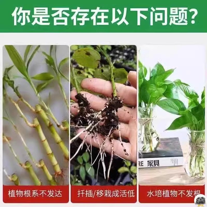 植物扦插生根剂玫瑰月季扦插生根液移栽种植生根粉壮苗植物活力素