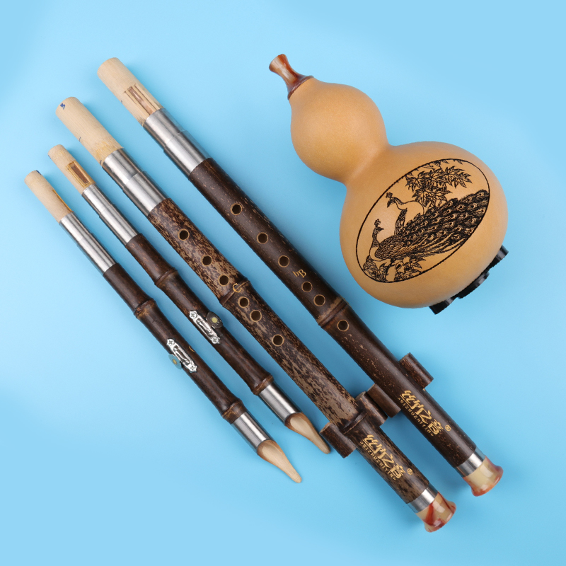 葫芦丝入门初学者小学生儿童c调紫竹双调成人演奏葫芦丝双管乐器