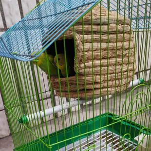 云斑鹦鹉窝稻草鸟窝冬天保暖繁殖孵化悬挂式房子孵蛋小窝虎皮用品