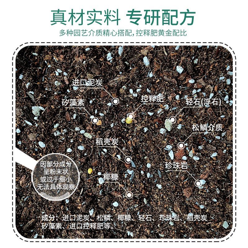 花彩师朱顶红专用营养土球根植物介质郁金香种百合球种植土壤花泥