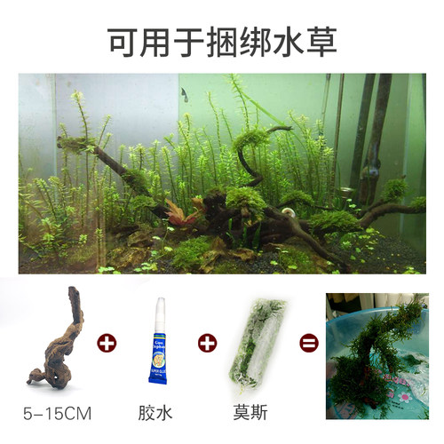 鱼缸沉木天然造景水草小号大号大型莫斯树树桩树根杜鹃根枯紫柚木