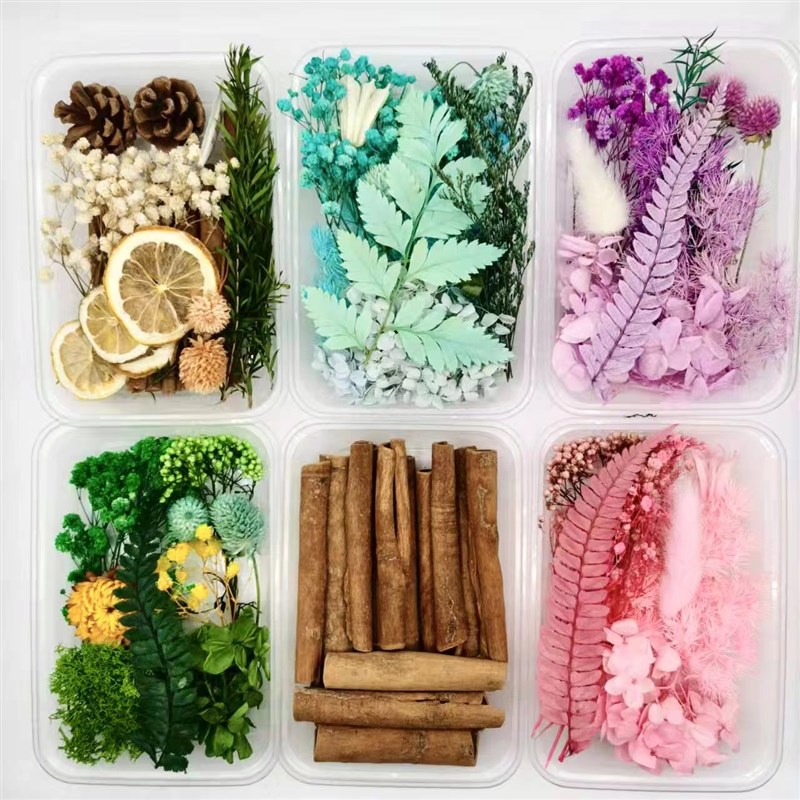 混装干花DIY材料包花材包植物干果满天星肉桂手工团扇 香薰蜡烛