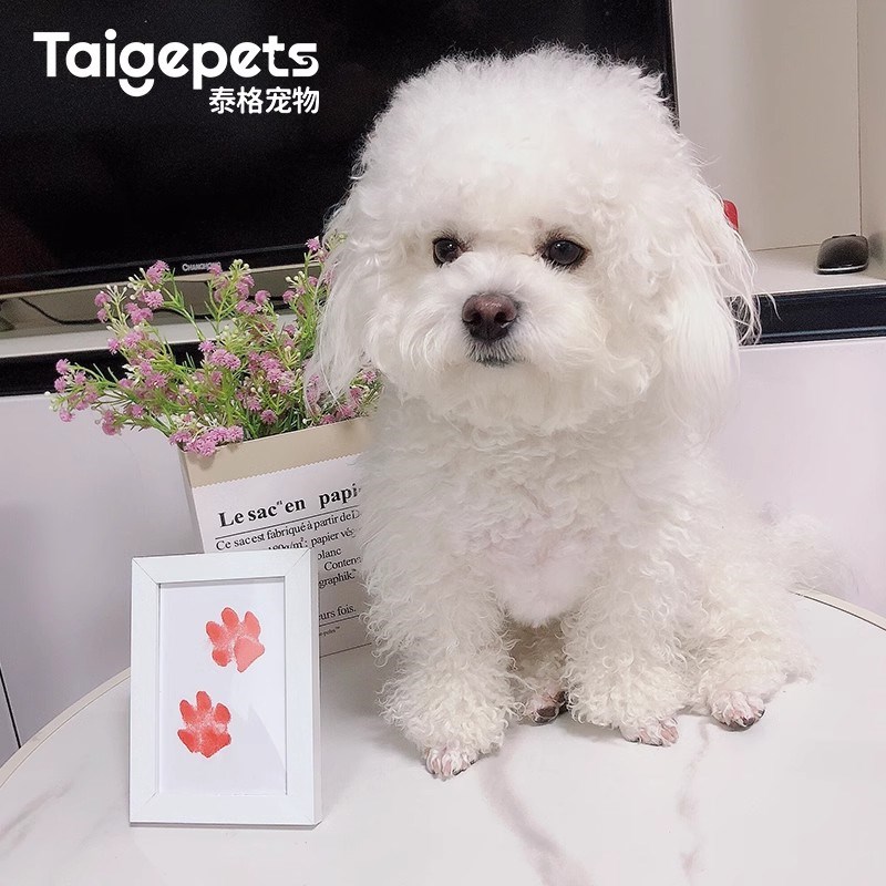 宠物爪印纪念相框定制手印掌印脚印爪子印猫咪狗狗免洗墨印印泥