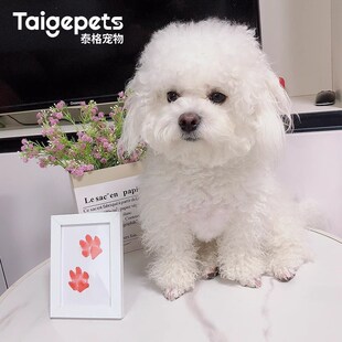 宠物爪印纪念相框定制手印掌印脚印爪子印猫咪狗狗免洗墨印印泥