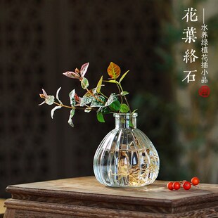 水培花叶络石铜钱草绿萝懒人植物办公室卫生间室内茶桌面耐阴绿植