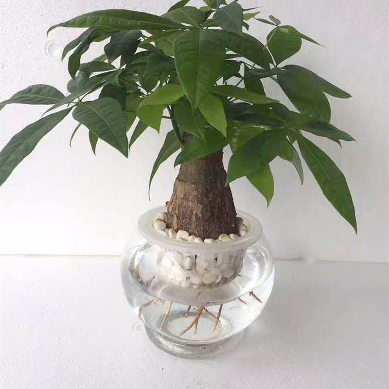 高透明塑料花瓶 富贵竹绿萝白掌水培植物容器室内饰品花盆110B