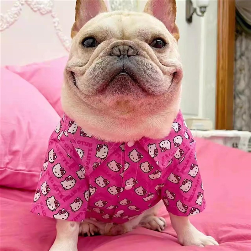 三多宠物纸样猫咪狗狗金毛泰迪法斗衬衫图纸西施比熊衬衣样版模板