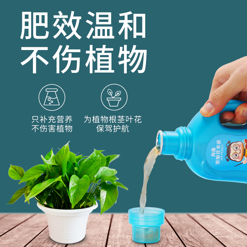 植物营养液浓缩通用型花肥料养花家用花卉盆栽花草绿萝富贵竹专用