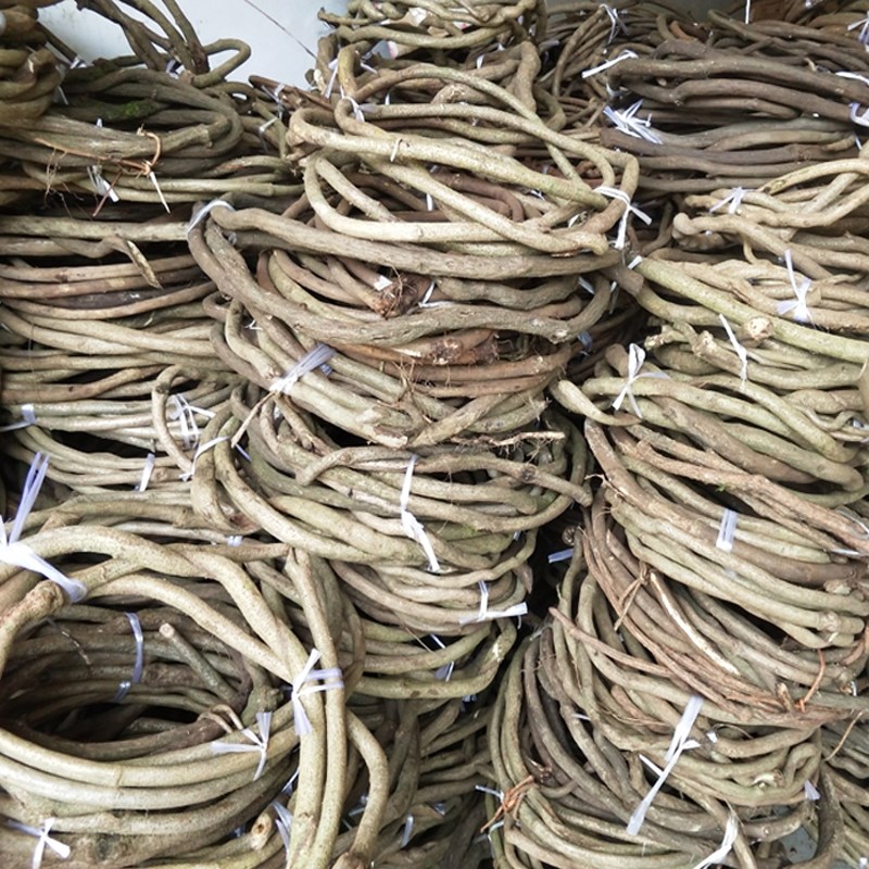 树藤枯藤条红山藤婚庆店铺家居装饰树藤吊顶免泡水真藤条装饰树藤